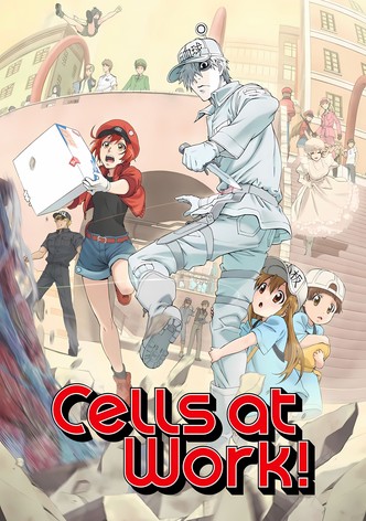 Póster de Cells at work!