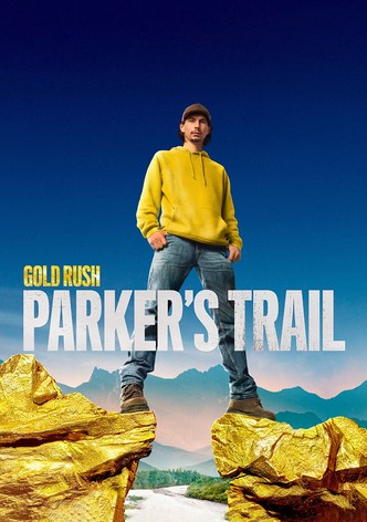 Póster de Tras la pista del oro