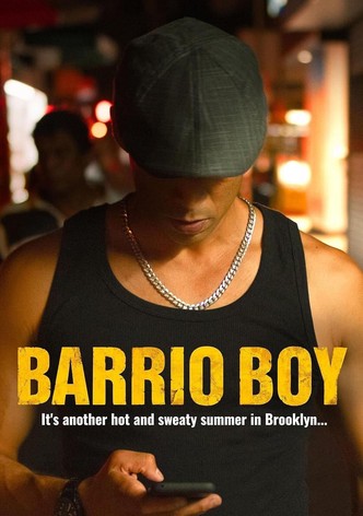 Póster de Barrio Boy