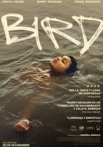 Póster de Bird