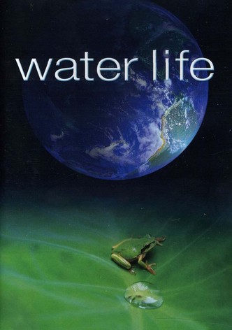 Mundos de agua