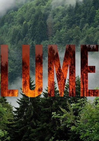 Póster de Lume