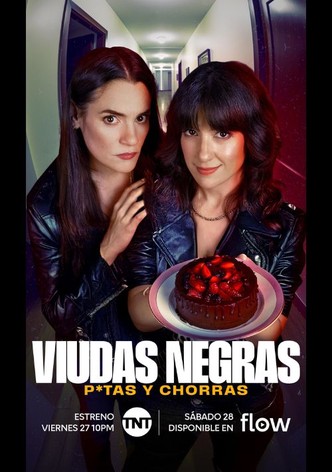 Póster de Viudas Negras: P*tas y Chorras - Temporada 1