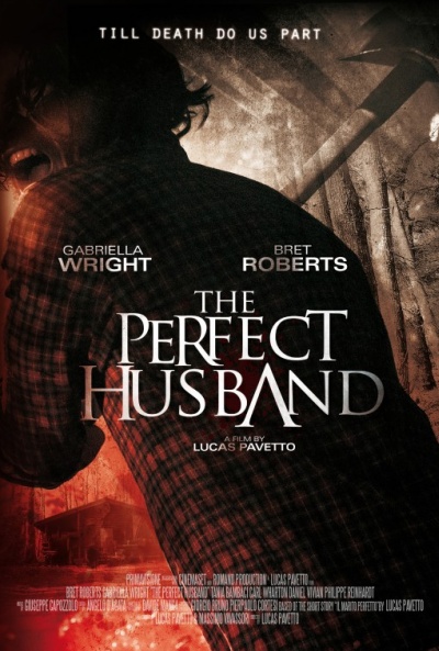 The Perfect Husband