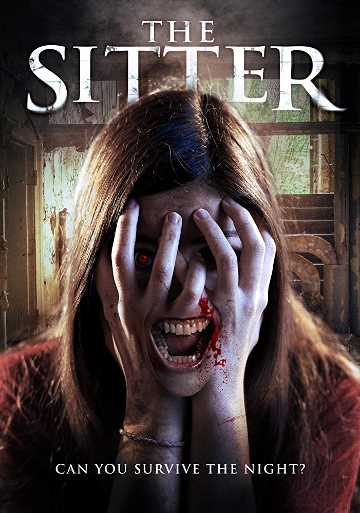 Película: The Sitter (2017) | abandomoviez.net