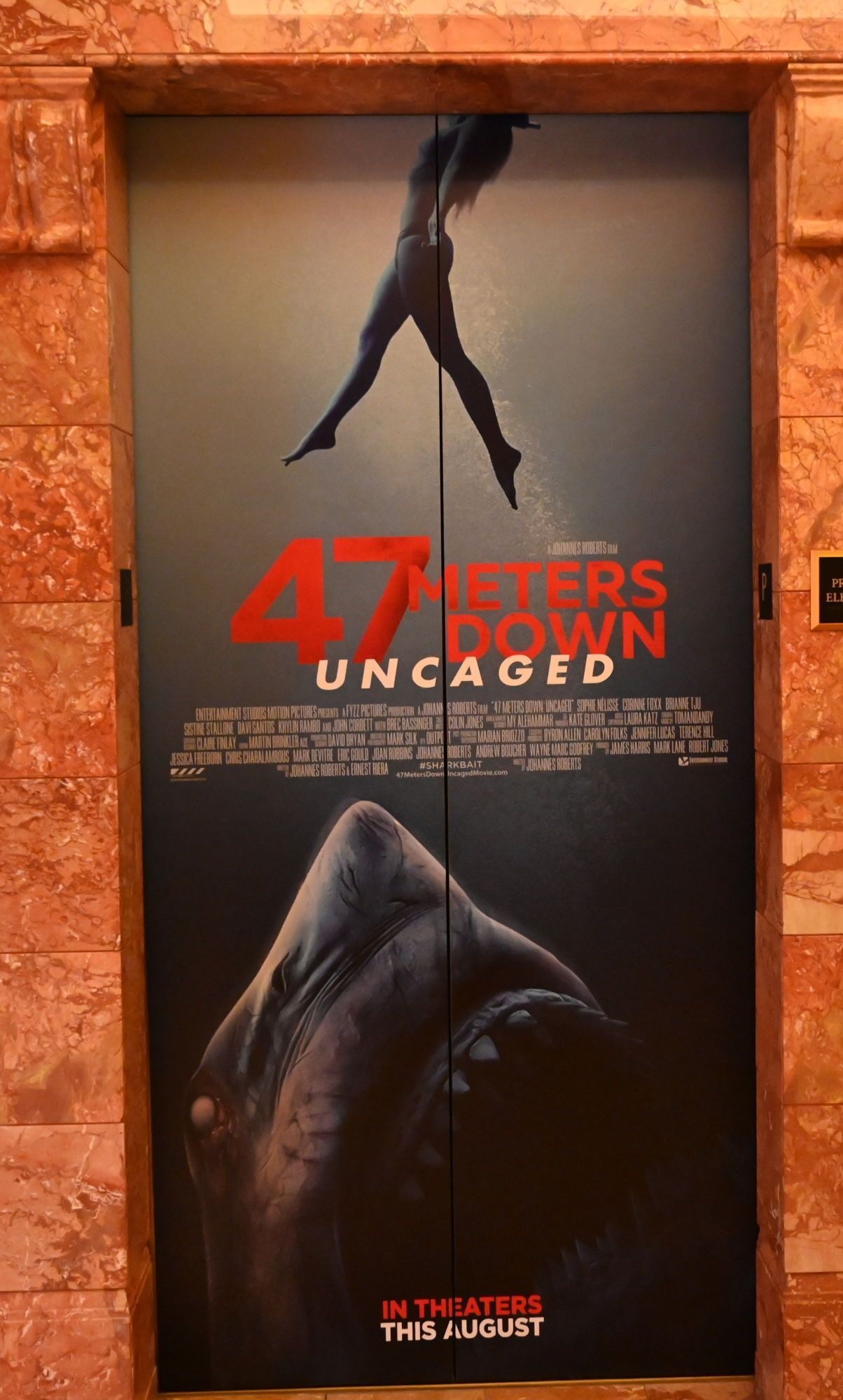 Película A 47 Metros 2 El Terror Emerge 2019 Abandomoviez Net