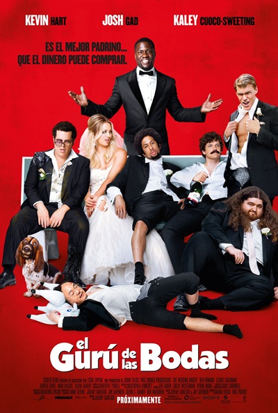 Película: El Gurú de las Bodas (2015) | abandomoviez.net