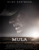 Mula