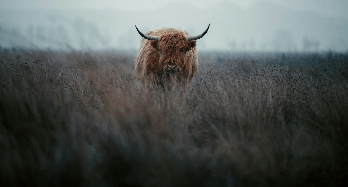 Naturally Handcrafted since 1749