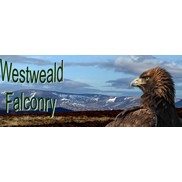 Westweald Falconry