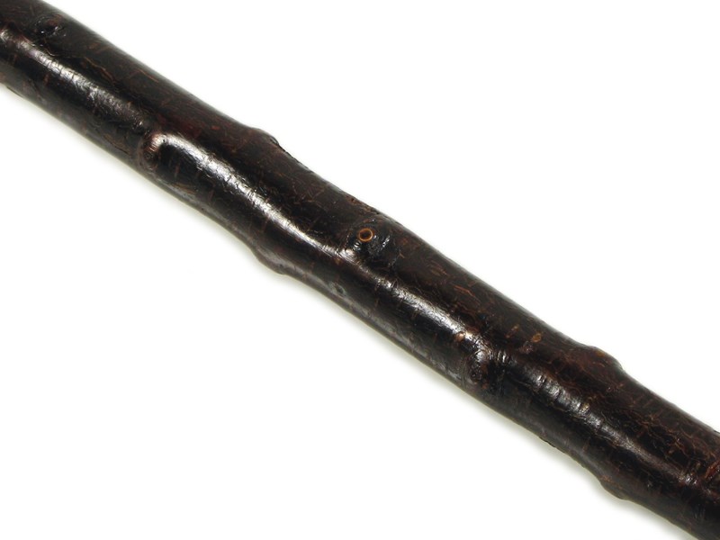 Stag Antler Crown Walking Stick Stag Antler Crown Walking Stick