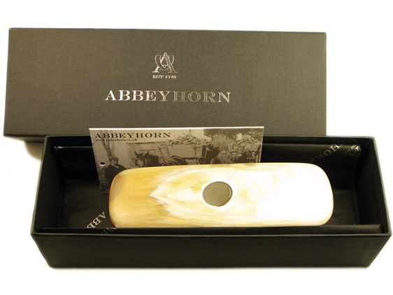 Small Rectangular Cow Horn Backed Clothes Brush With Silver Disc