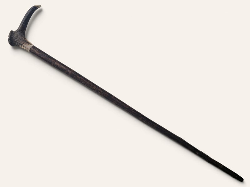Stag Antler Crown Walking Stick