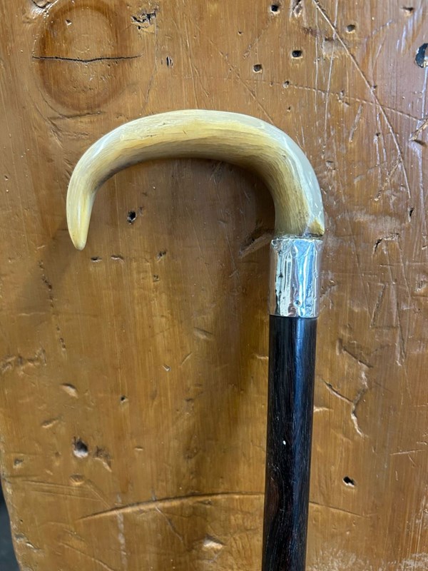 Walking Cane with Horn Handle | A10 Walking Cane with Horn Handle | A10