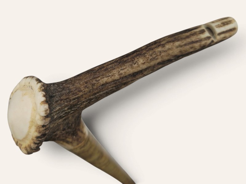 Whistling Stag Antler Crown Walking Stick Whistling Stag Antler Crown Walking Stick