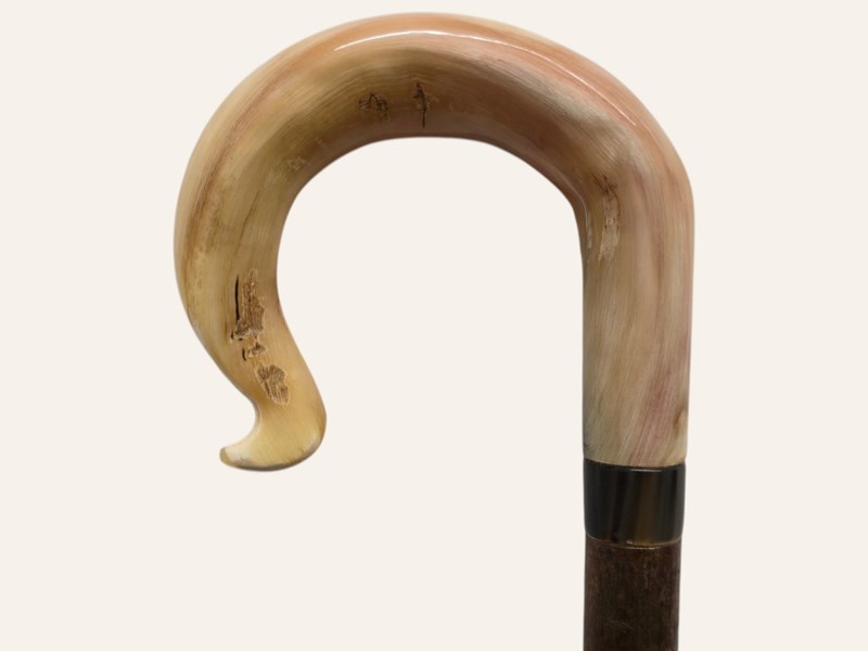 Traditional Crook Ramshorn Walking Stick