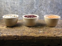 Set of Three Mini Mango Wood French Artisan Bowls