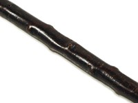 Curly Ramshorn Walking Stick