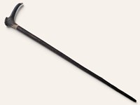 Stag Antler Crown Walking Stick