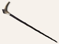 Whistling Stag Antler Crown Walking Stick