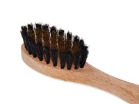 Horn Backed Suede Brush | Boar Bristle Horn Suede Brush