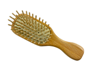Beechwood & Horn Pocket Hairbrush with Silver Disc | Silver Disc Embossed