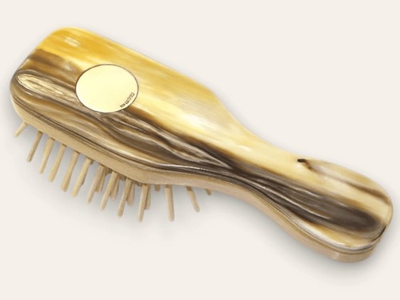 Beechwood & Horn Pocket Hairbrush with Silver Disc | Silver Disc Embossed Beechwood & Horn Pocket Hairbrush with Silver Disc | Silver Disc Embossed