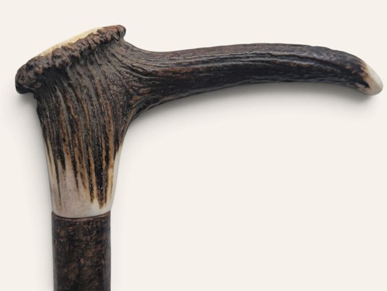 Stag Antler Crown Walking Stick