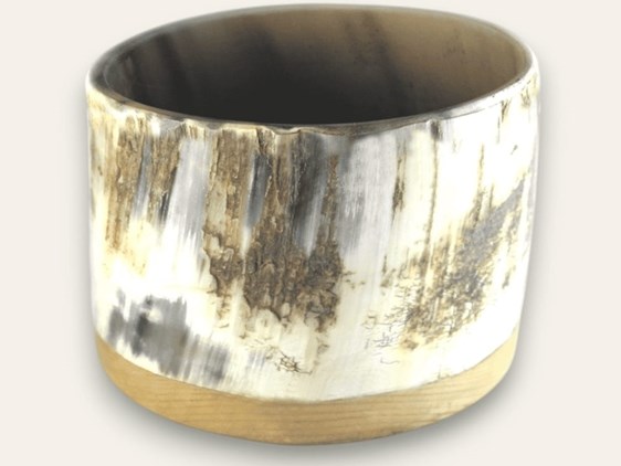 Cow Horn Storage Pot - Rough - Short