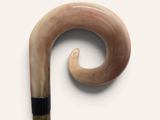 Curly Ramshorn Walking Stick Curly Ramshorn Walking Stick