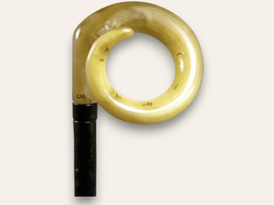 Curly Ramshorn Walking Stick