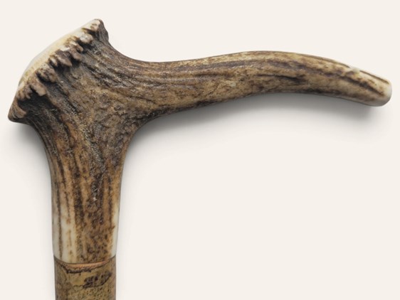 Whistling Stag Antler Crown Walking Stick