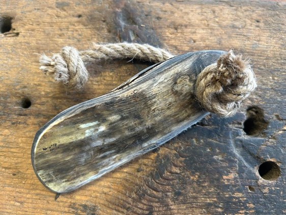 Dog Chew - Flat - 5-6" Dog Chew - Flat - 5-6"