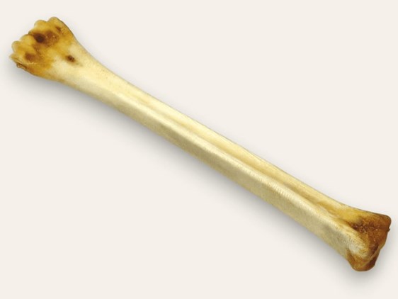 Deer Polishing Bones