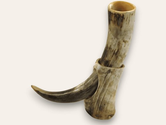 Drinking Horn On Stand - Rough