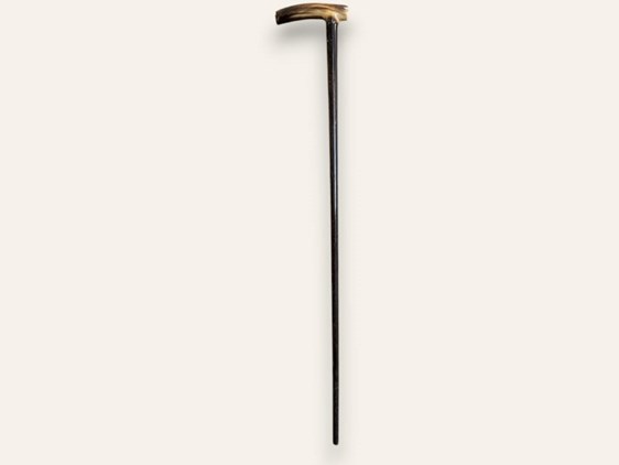 Horn Handle Walking Stick