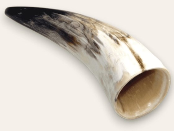 Polished Horn - 5" | P5