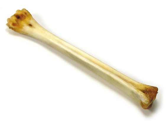 Deer Polishing Bones Deer Polishing Bones
