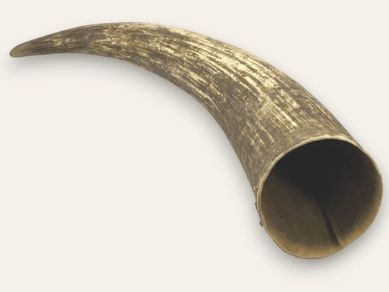Raw Horn - Wide Mouthed Raw Horn - Wide Mouthed