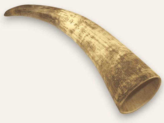 Rough Horn - 10" Rough Horn - 10"