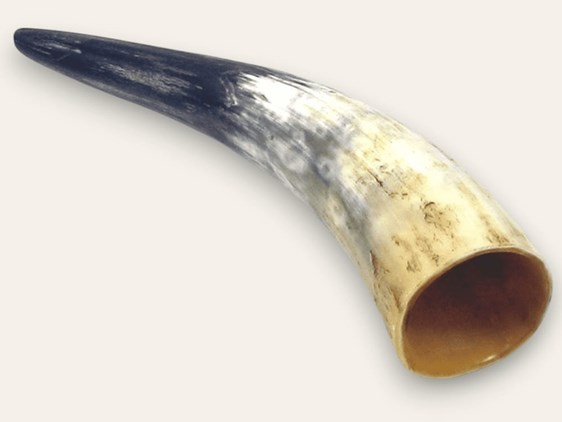 Rough Horn - 15" Rough Horn - 15"