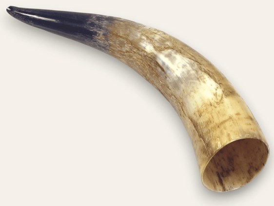Rough Horn - 20"