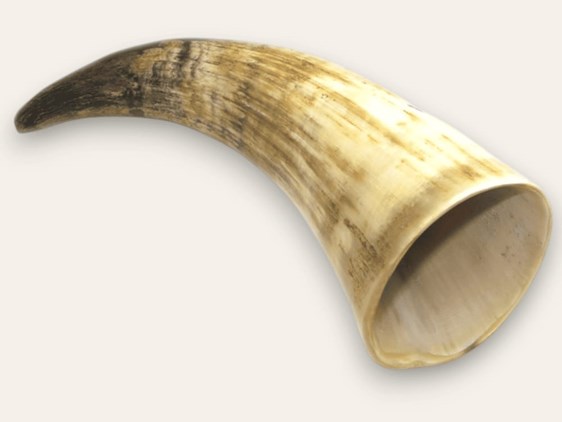 Rough Horn - 8"