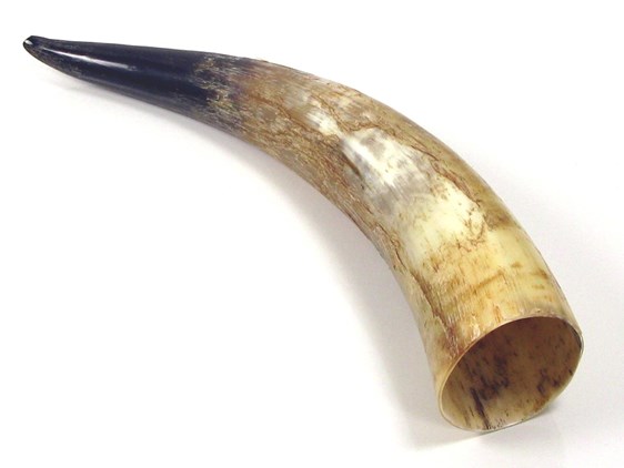 Rough Horn - 20" Rough Horn - 20"