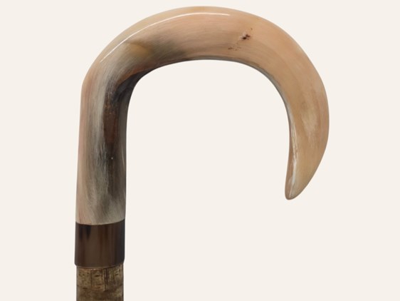 Rounded Crook Ramshorn Walking Stick Rounded Crook Ramshorn Walking Stick