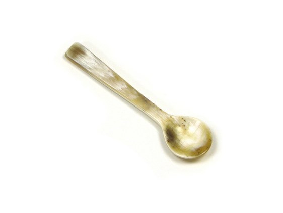Salt Spoon - Square End