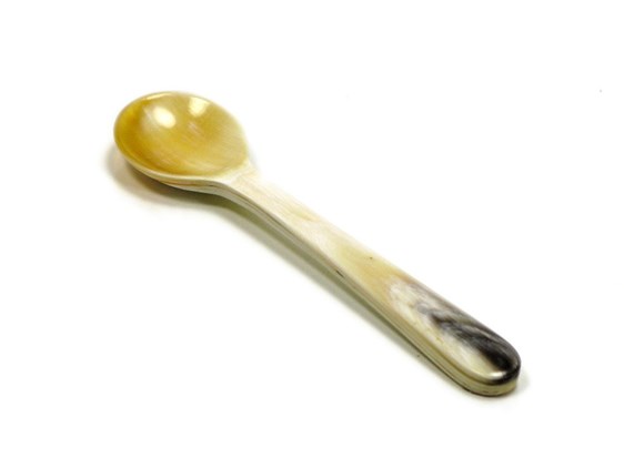 Salt Spoon Salt Spoon