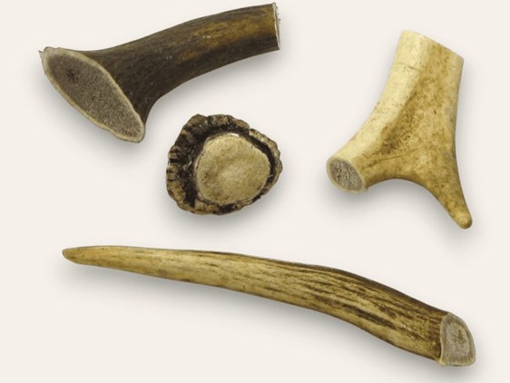 Stag Antler Bits Stag Antler Bits