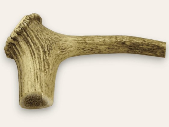 Stag Antler Handle - Hook