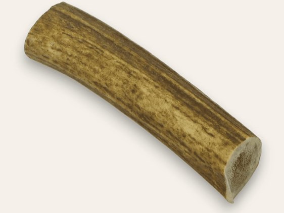 Stag Antler Roll - 3"